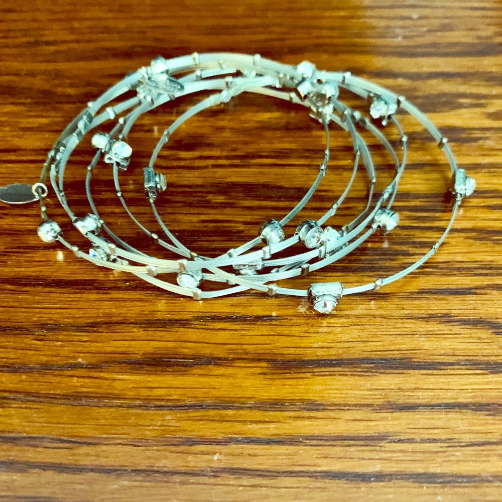 Seasonal Whispers, silver